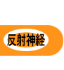 反射神経
