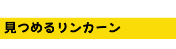 ߂郊J[